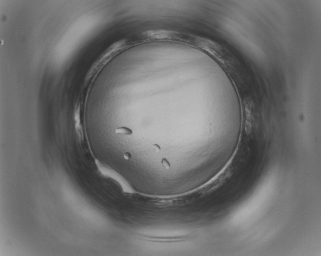 X0000071831198200607211754