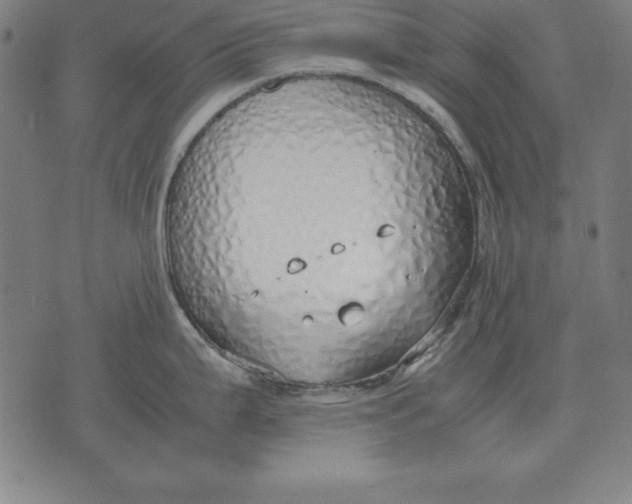 X0000071831199200607211754