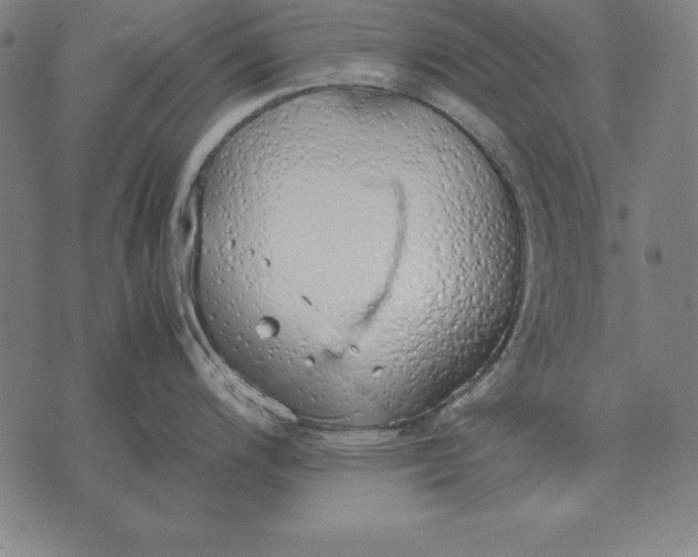 X0000071831200200607211754