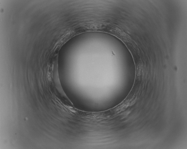 X0000071831202200607211753