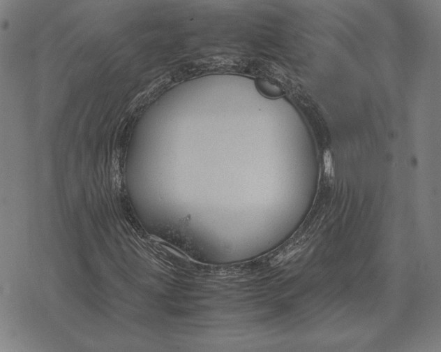 X0000071831203200607211753