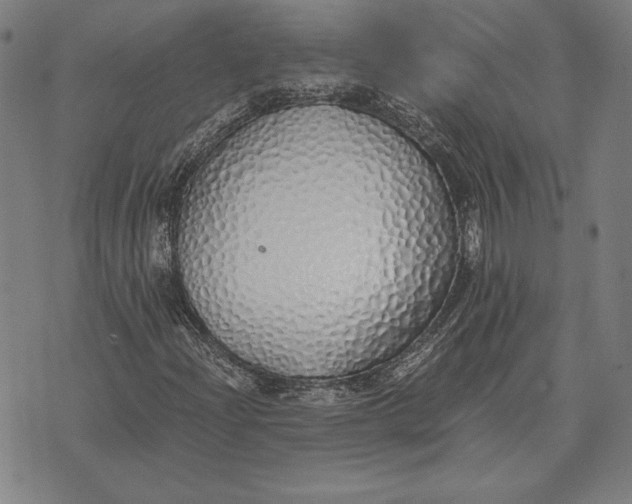 X0000071831204200607211753