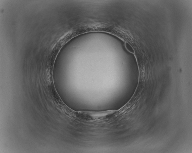 X0000071831205200607211753