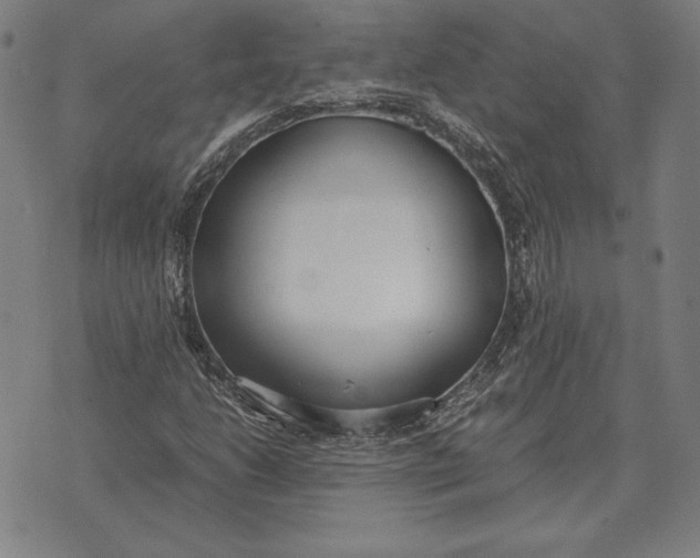 X0000071831206200607211753