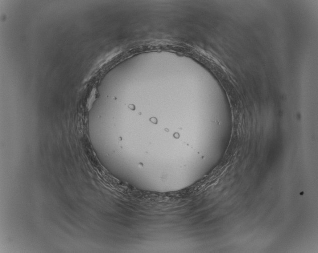 X0000071831207200607211753