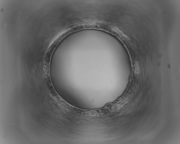 X0000071831208200607211753