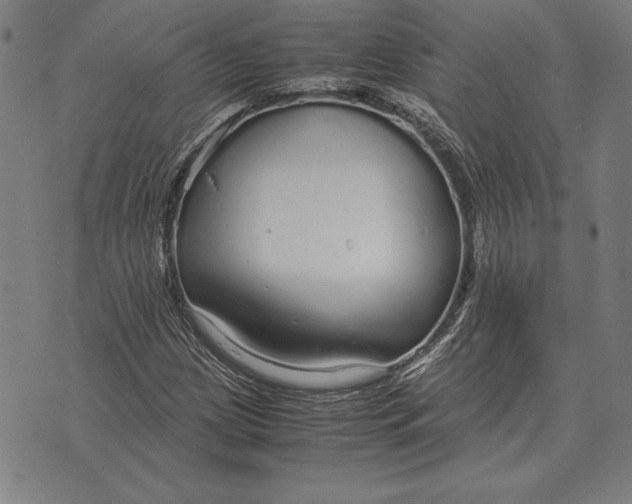 X0000071831209200607211753