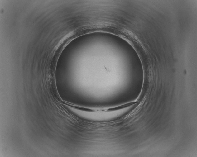 X0000071831210200607211753