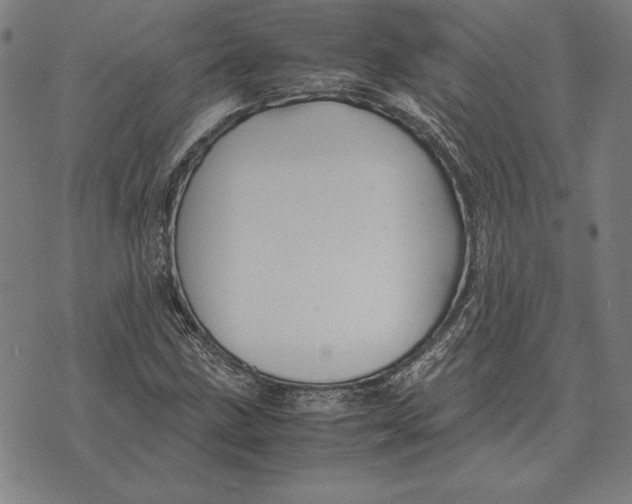 X0000071831211200607211753