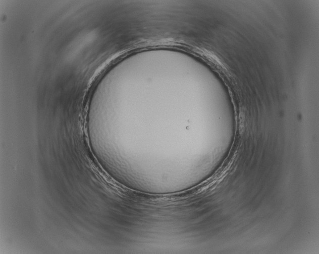 X0000071831212200607211753