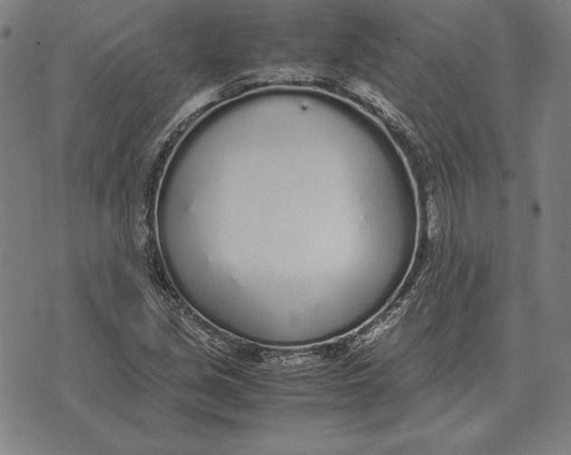 X0000071831213200607211753