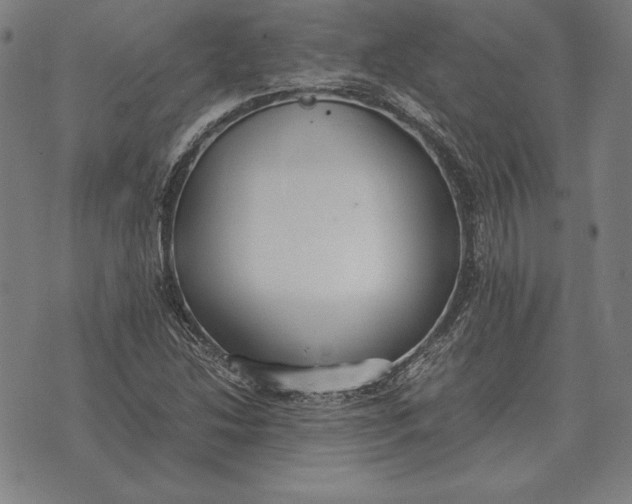 X0000071831214200607211753