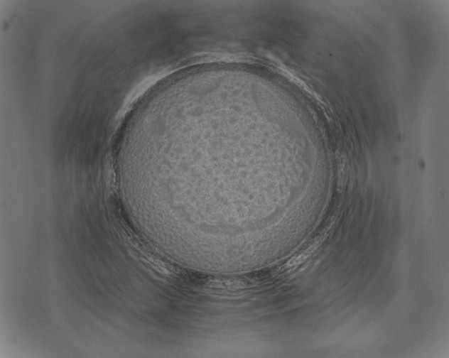 X0000071831215200607211753