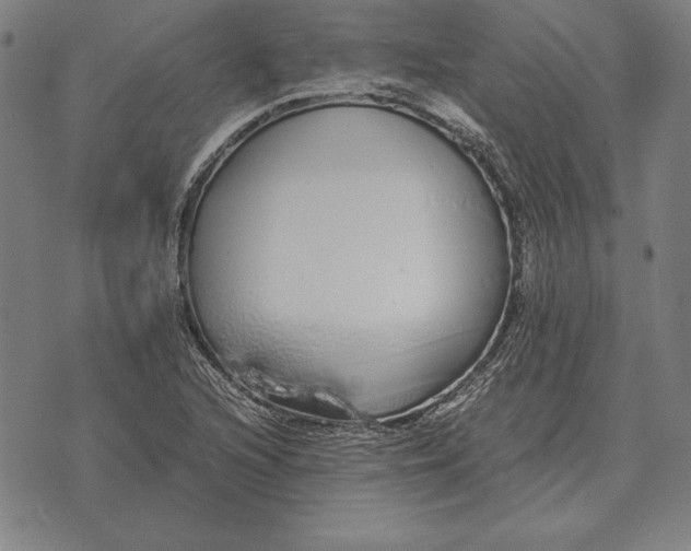 X0000071831216200607211753