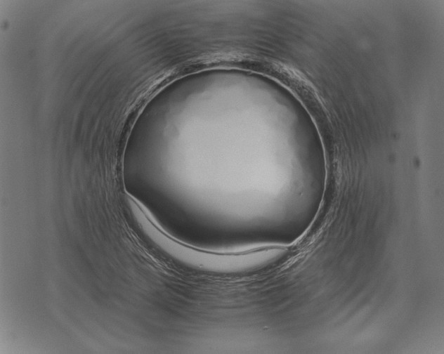 X0000071831217200607211753