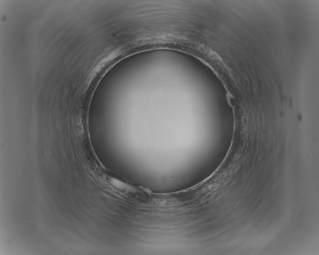 X0000071831218200607211753