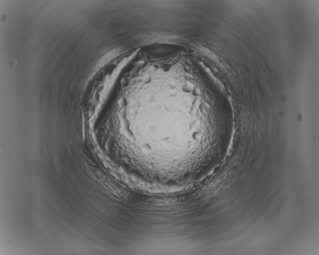 X0000071831219200607211753