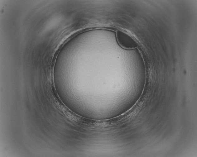 X0000071831220200607211753