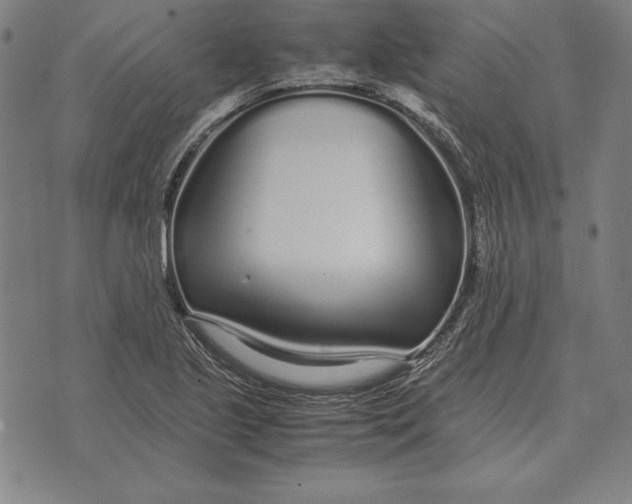 X0000071831221200607211753