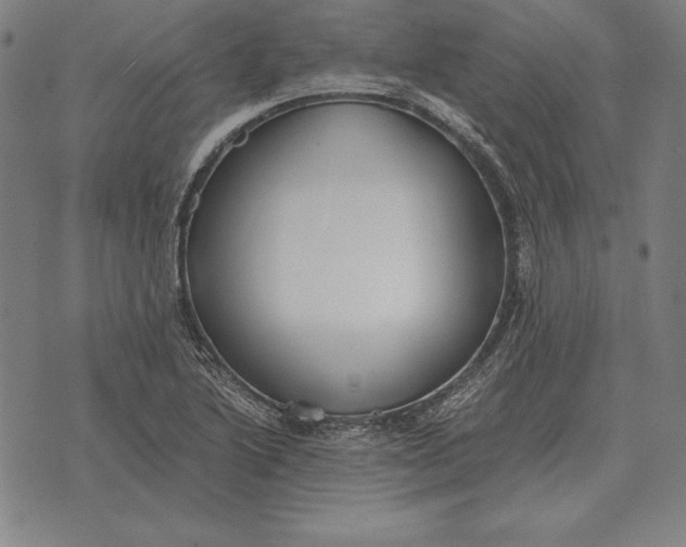 X0000071831222200607211753