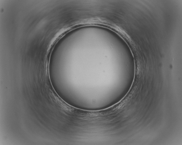 X0000071831224200607211753