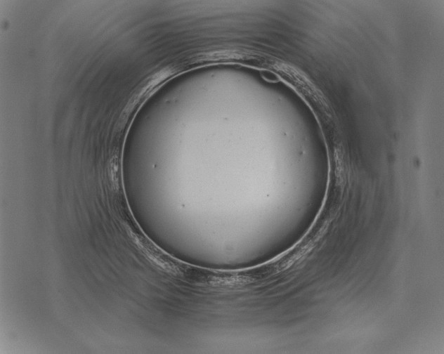 X0000071831225200607211753