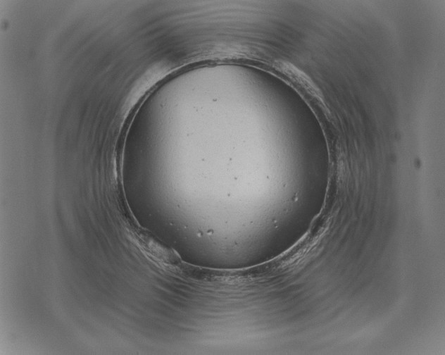 X0000071831226200607211753