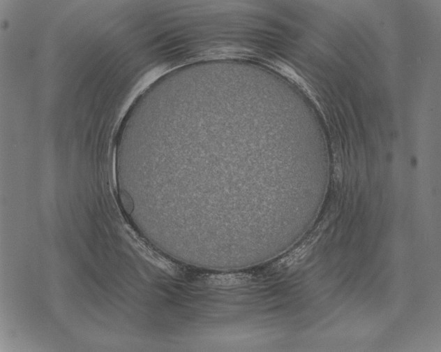 X0000071831227200607211753