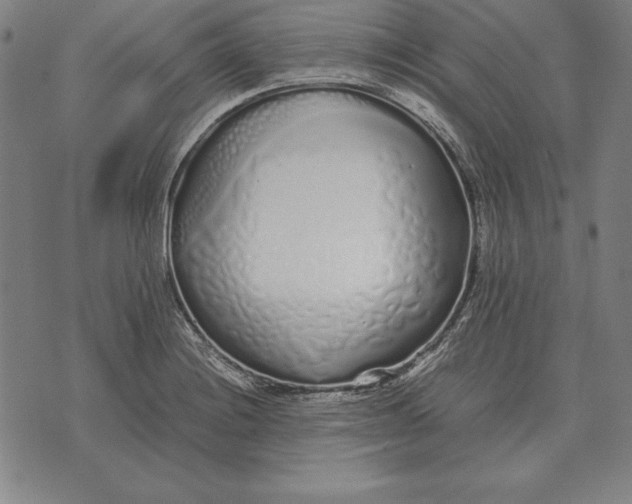 X0000071831228200607211753