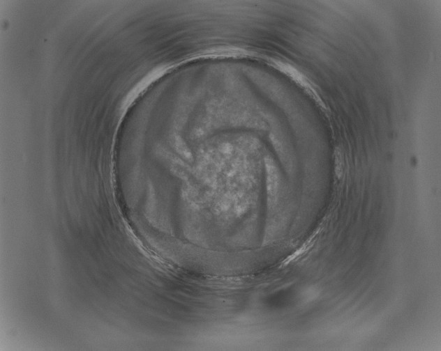 X0000071831229200607211753