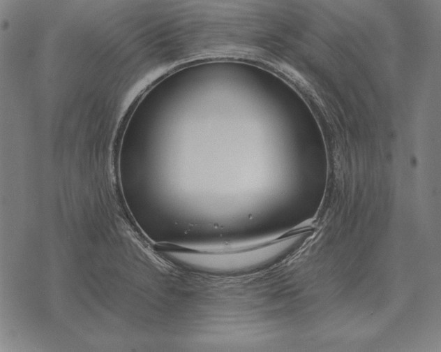 X0000071831230200607211753