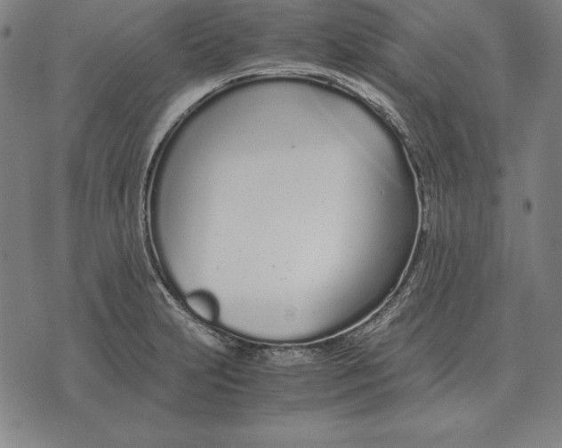 X0000071831231200607211753