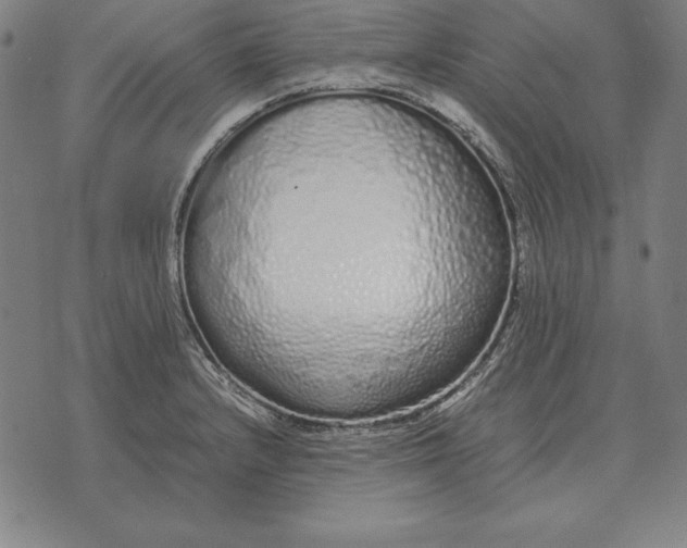 X0000071831232200607211753