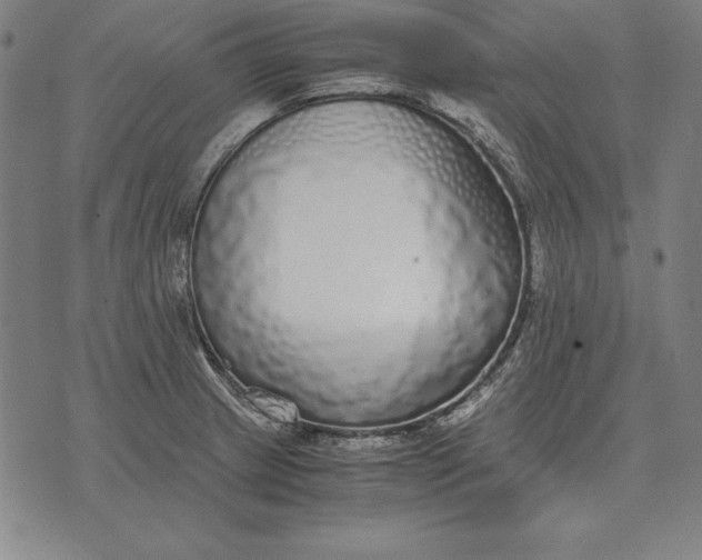 X0000071831233200607211753