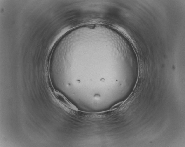 X0000071831235200607211753