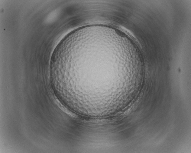 X0000071831236200607211753