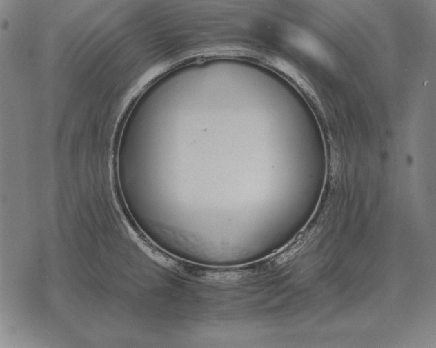 X0000071831237200607211753