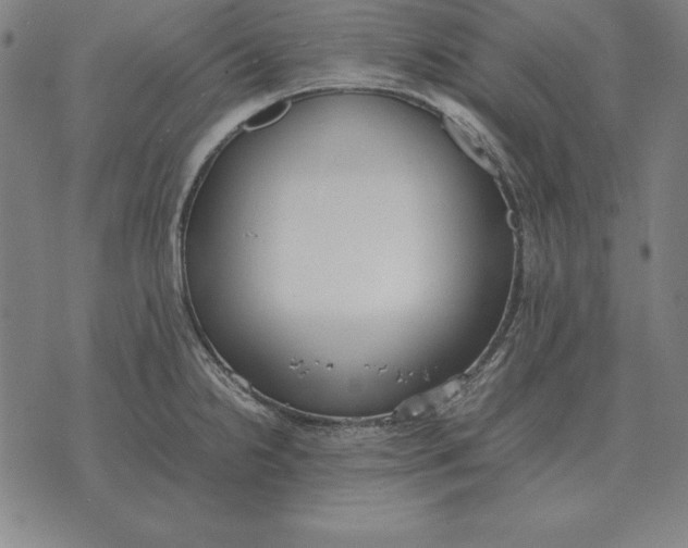 X0000071831238200607211754