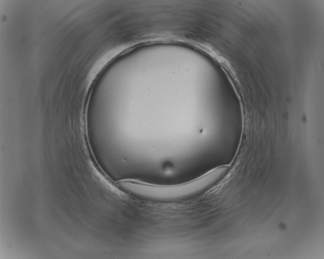 X0000071831239200607211754