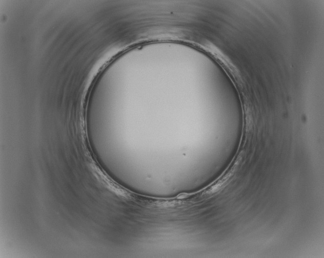 X0000071831240200607211754