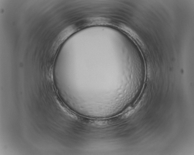 X0000071831241200607211754