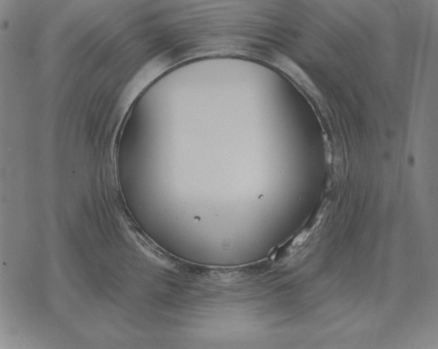 X0000071831242200607211754