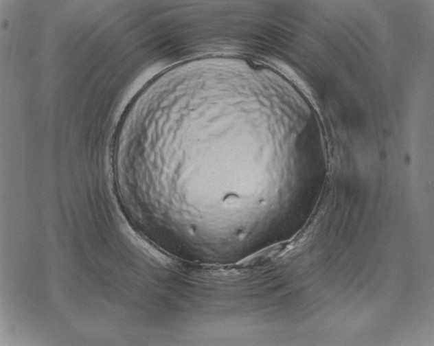 X0000071831243200607211754