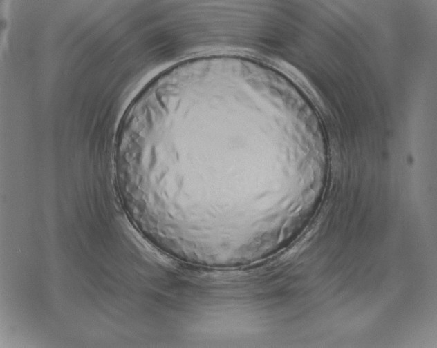 X0000071831244200607211754