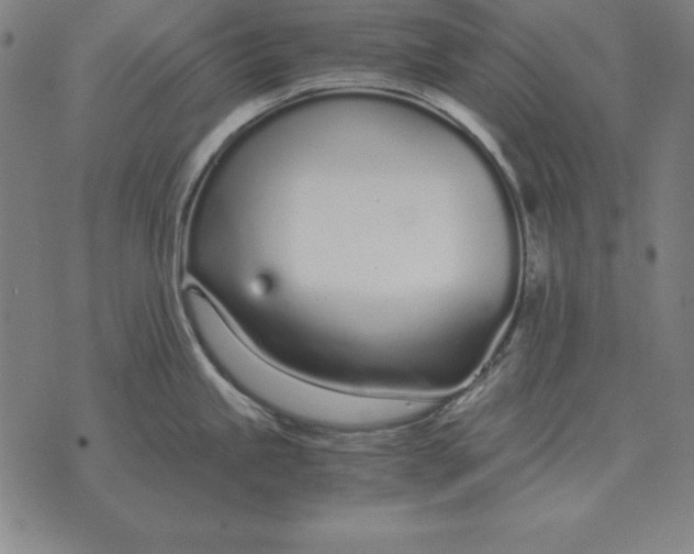 X0000071831245200607211754