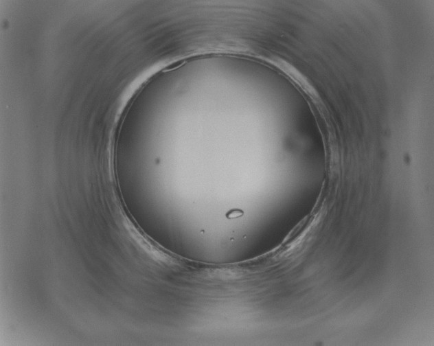 X0000071831246200607211754