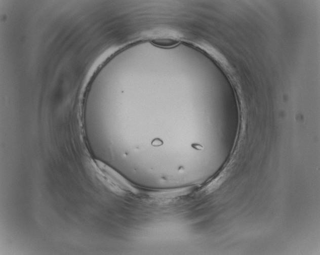 X0000071831248200607211754