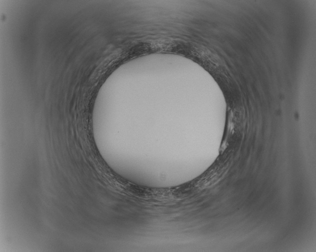 X0000071831249200607211753