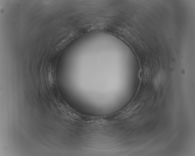 X0000071831250200607211753