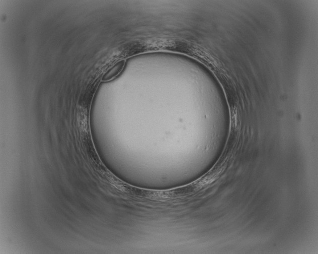 X0000071831251200607211753